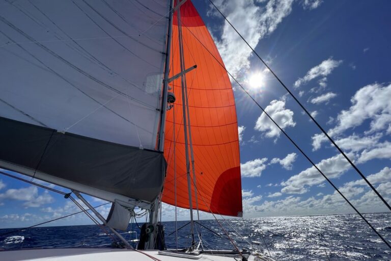 4a73654c-a963-9f7b-1611-9f5391094cff