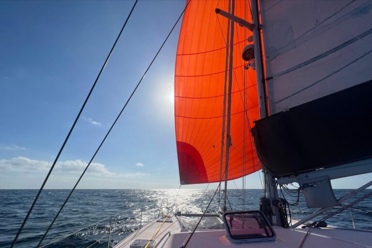 e33cf78c-4c47-0aed-0569-8dea207d4373