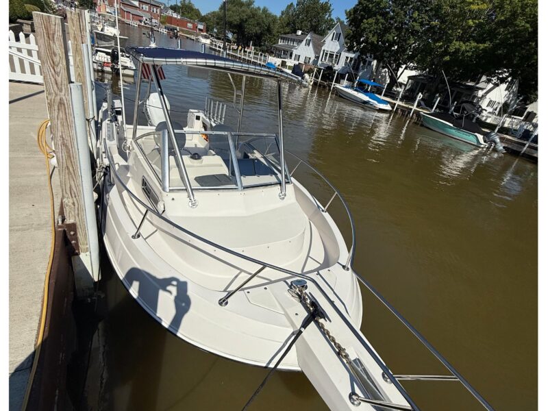 1993 Aquasport 225 Explorer