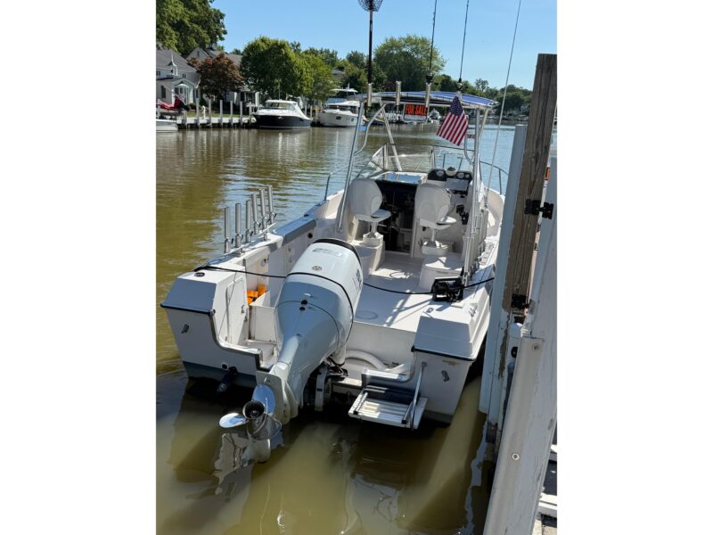1993 Aquasport 225 Explorer