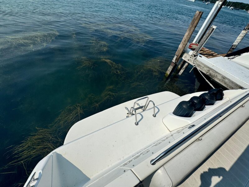 1995 Sea Ray 370 Express Cruiser