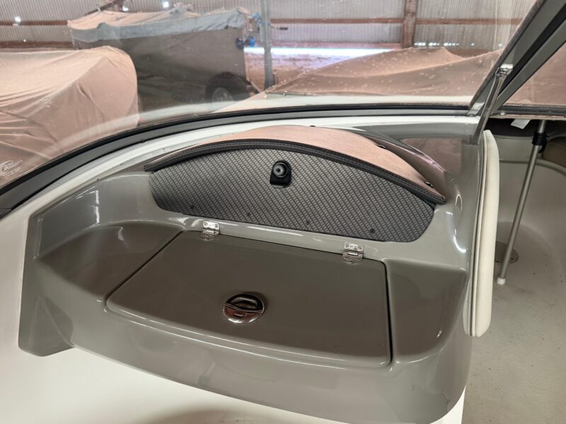 2019 Stingray 208 LS