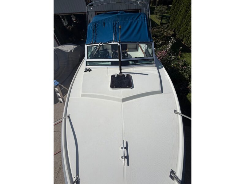 1986 Limestone 24 Runabout